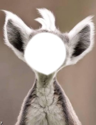 lemurien Photo frame effect
