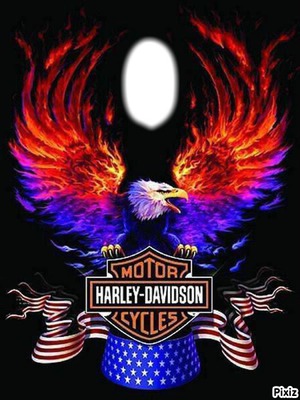 harley cadre Montage photo