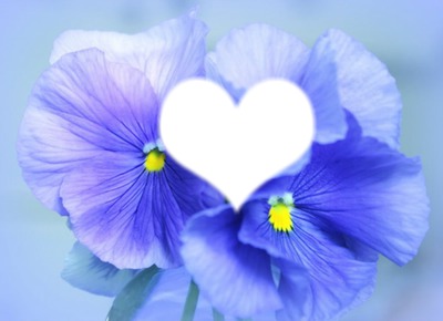 fleurs bleu フォトモンタージュ