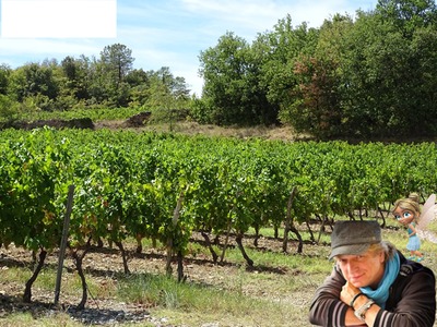 le vin du pays Фотомонтажа