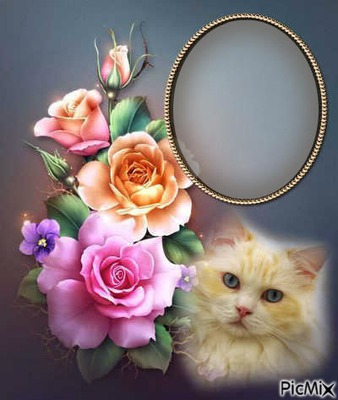 cadre fleurs chat Fotómontázs