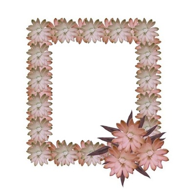 marco florecillas rosadas. Fotomontage