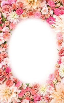 pink roses Photo frame effect