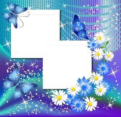 marco azul, mariposas y flores, 2 fotos.