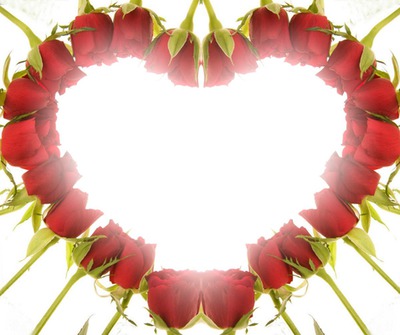 сердце из цветов Fotomontažas