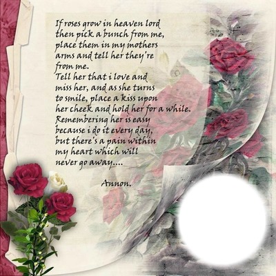 IF ROSES GROW IN HEAVEN Photo frame effect