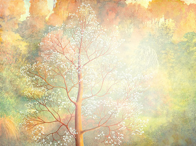 arbre 65 Fotomontage