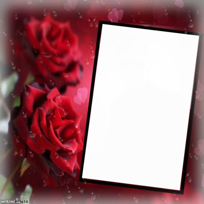 Cadre avec des roses Montaje fotografico