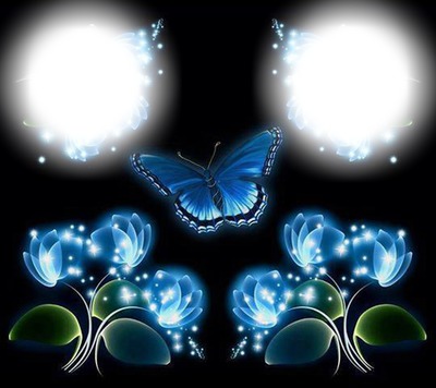 fleurs et papillon bleu