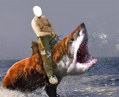 Putin Tubarão Fotomontagem