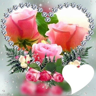 rosas de  primavera Fotomontage