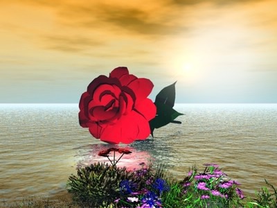 Una rosa Fotomontasje