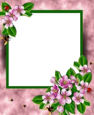 marco verde y flores moradas. Fotomontáž