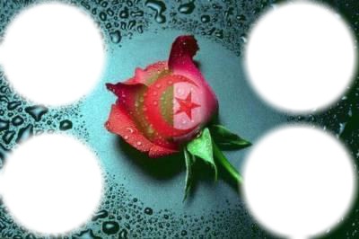 algérie Fotomontage