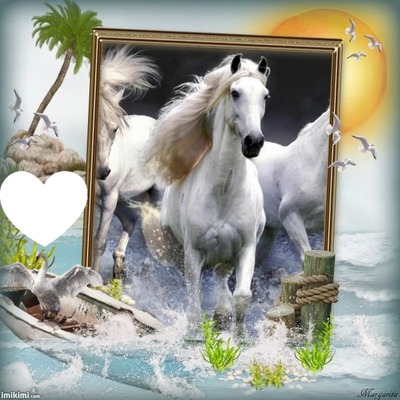 Chevaux Photo frame effect
