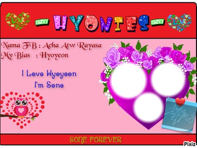 Id Card Hyonies Photomontage