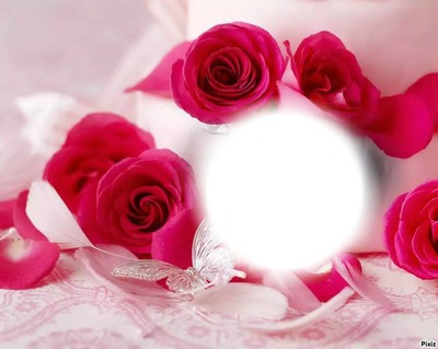 rosa de amor Montaje fotografico