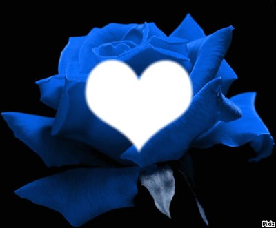 fleur bleu Фотомонтажа