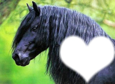 cheval noir coeur Photo frame effect