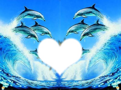 delfines Montaje fotografico
