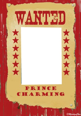 wanted Montage photo