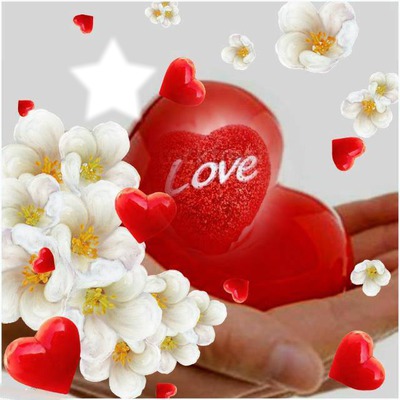all of love Montage photo
