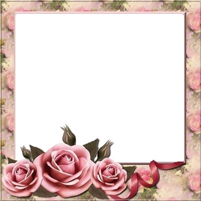 marco y rosas rosadas. Montaje fotografico