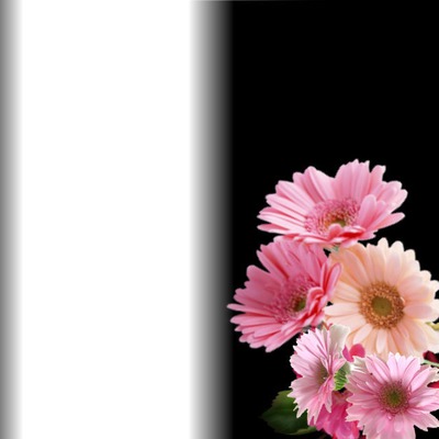 Cadre fleurs Fotomontaggio