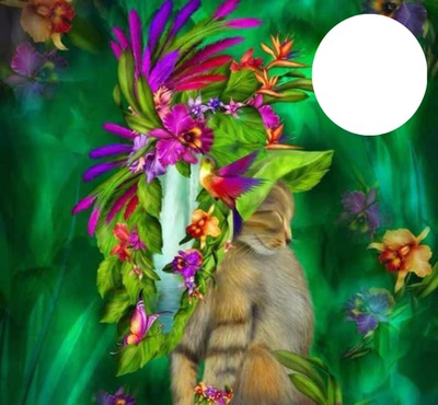 colorful kitty Photomontage