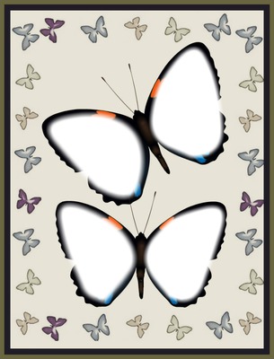 papillons Fotomontasje