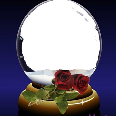 renewilly esfera con rosa Montaje fotografico