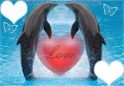 dauphins love 2 cadres coeur Valokuvamontaasi