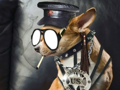 chien lunettes Fotomontáž
