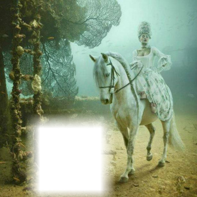 le cheval sous la mer Фотомонтажа