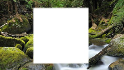 nature 2 Photo frame effect
