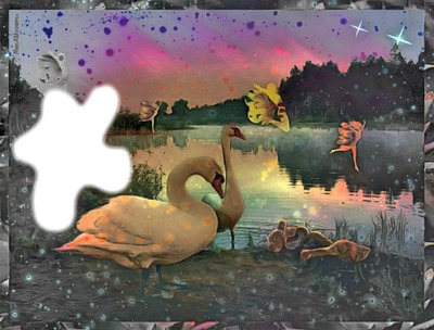SWAN LAKE Photo frame effect