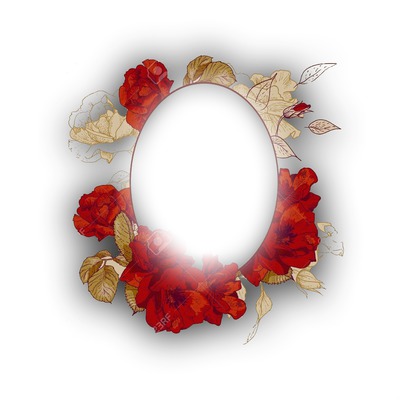 red roses Photo frame effect