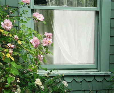Cadre fenêtre avec roses Fotoğraf editörü