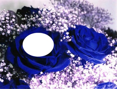Rose bleue Fotomontaža
