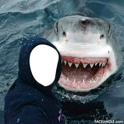 selfi requin フォトモンタージュ