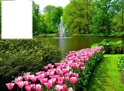 Belle nature avec tulipes Montage photo
