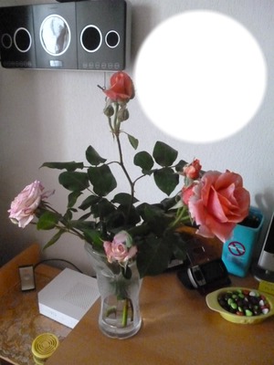 fleurs roses Fotomontaż
