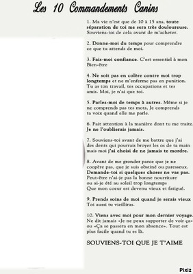 les 10 commandements canins Photo frame effect
