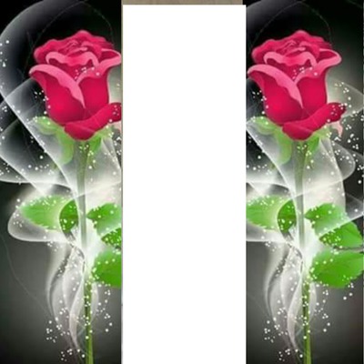 2 rosas con foto Photomontage