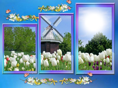 Cadres nature Photo frame effect