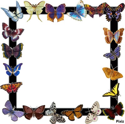 cadre papillon Fotómontázs