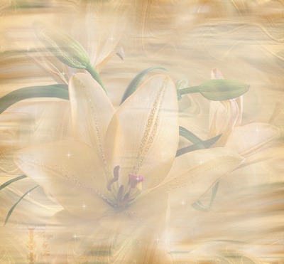 fleur Фотомонтаж