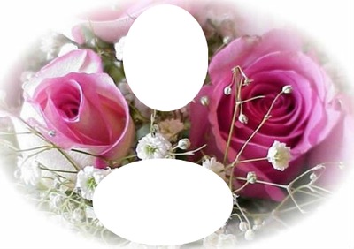 douces roses Photo frame effect