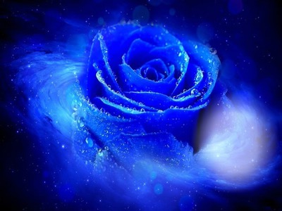 rose bleu Фотомонтажа