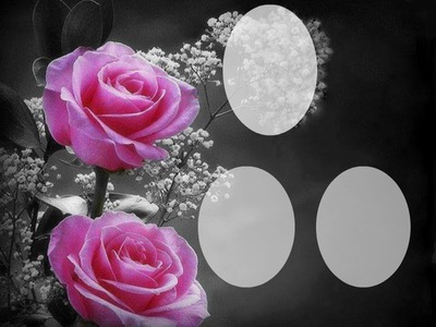 Rosas Fotomontasje